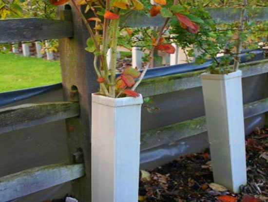 塑膠中空板樹樁保護架