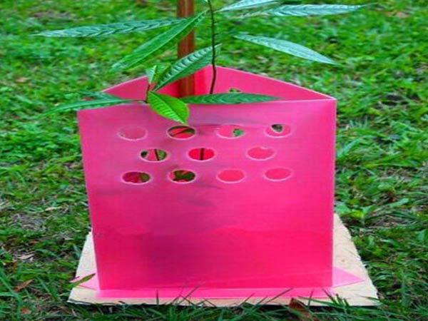 塑膠中空板樹樁保護架